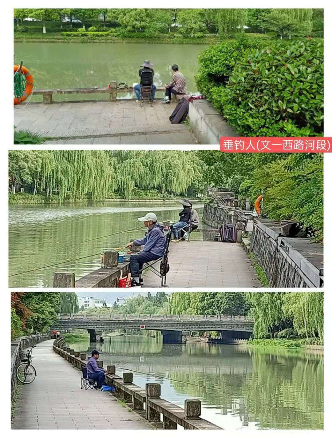 紫金港绿道钓鱼,紫金港河钓鱼