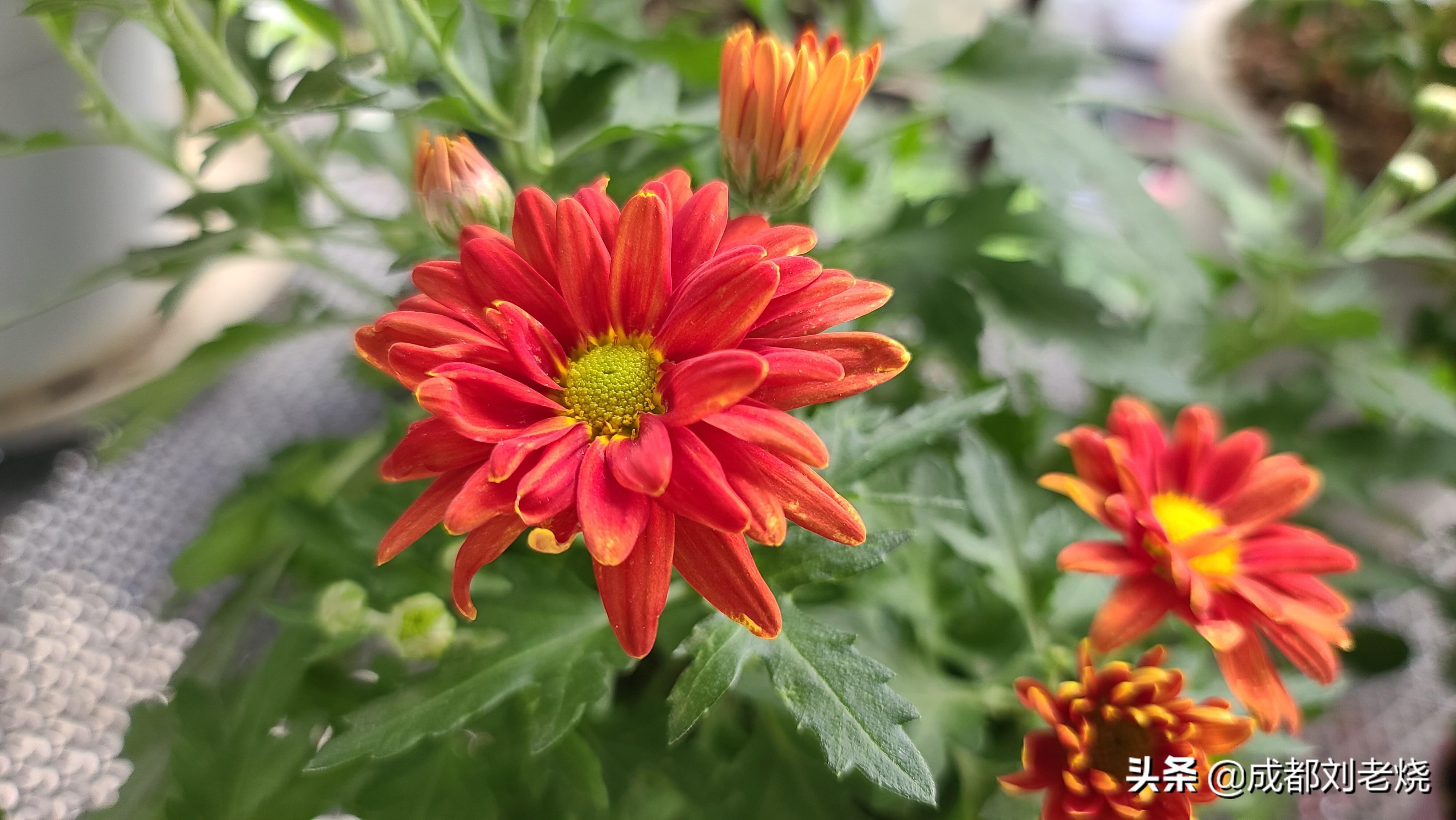 三星s20ultra韩版最大的缺点,三星手机s20ultra与s20+