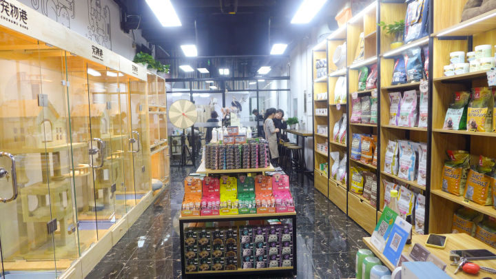 欧美风宠物店,温馨明亮的宠物店风格