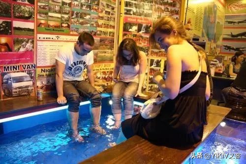 如何在柬埔寨旅游,柬埔寨自由行5天费用