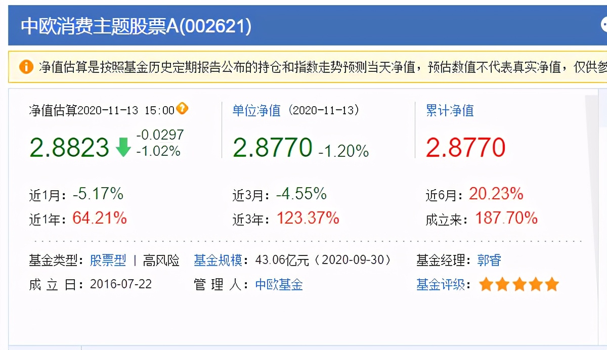 郭睿中欧消费基金2021,郭睿走下神坛