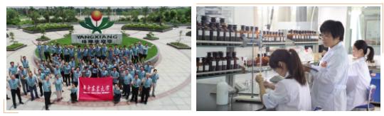 广西扬翔股份有限公司怎么样,扬翔集团在国内民营企业中排名