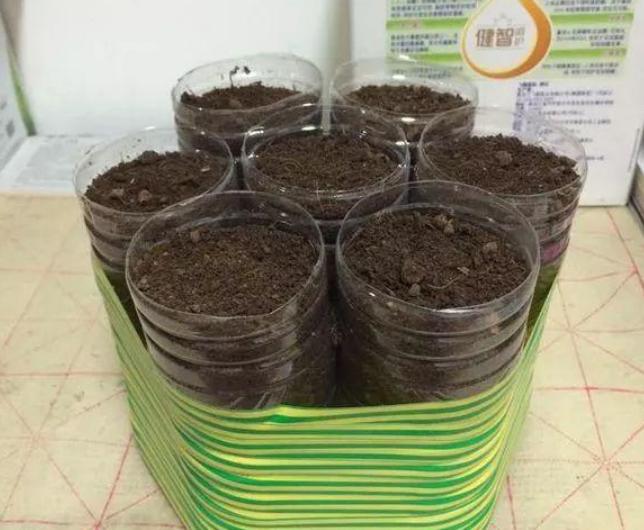 破旧塑料瓶一秒变精美花盆,废饮料瓶的妙用还可以做花盆吗