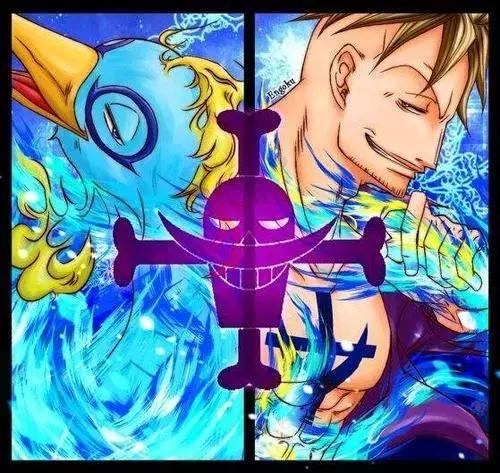 海贼王马尔科有不死能力吗,海贼王白胡子马尔科