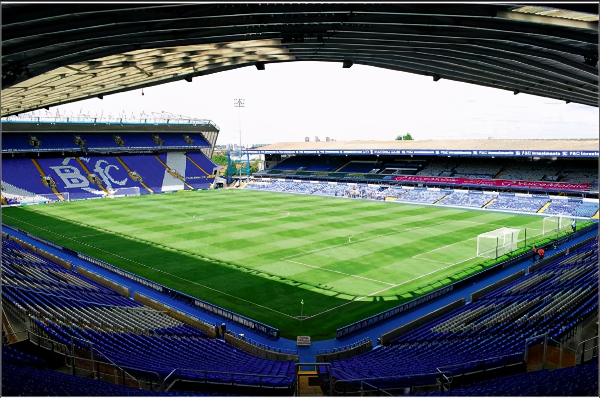 涨知识篮球,涨知识英语节目