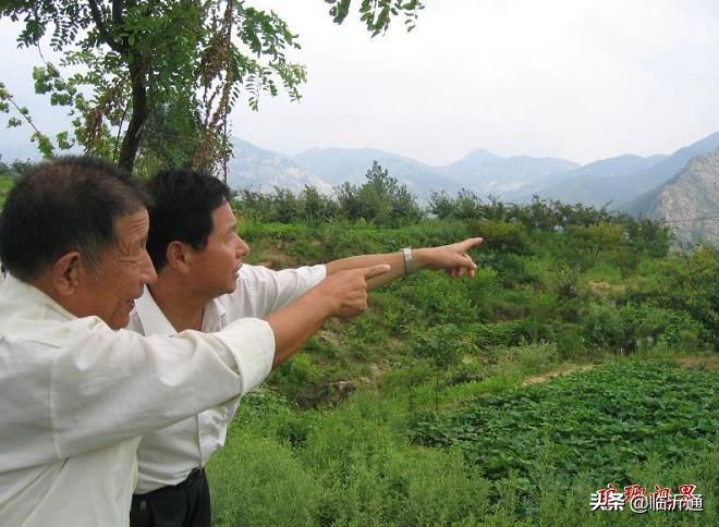 沂蒙飞鹰!一路走好!沂蒙山最后的老八路离世