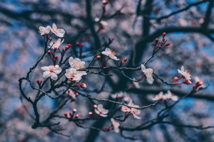 中国*产党共**创办的第一所高等学府，以城市名字命名，孙中山、毛*东泽**直接关怀！