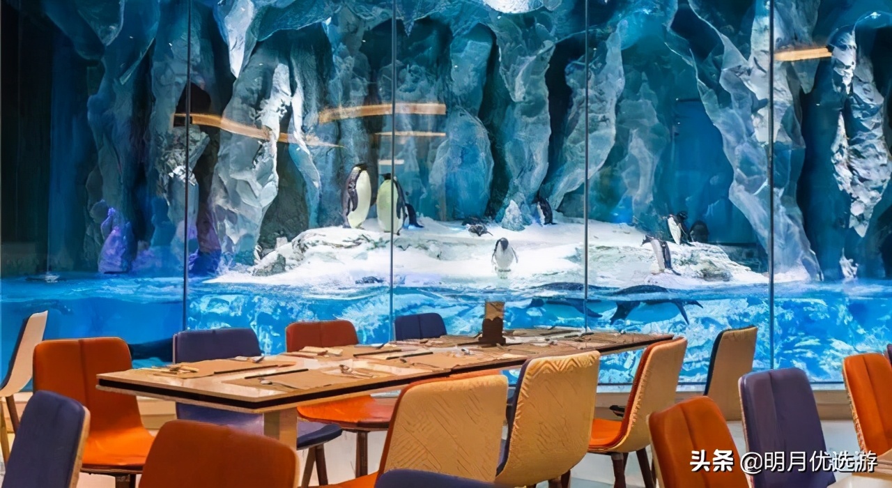 广东珠海长隆海洋王国门票多少钱,广东珠海长隆门票多少钱