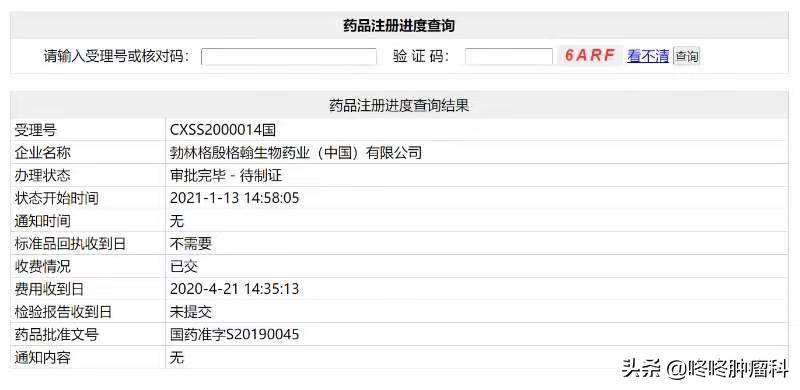 pd-1单抗国内,国产抗癌新药百济泽布替尼