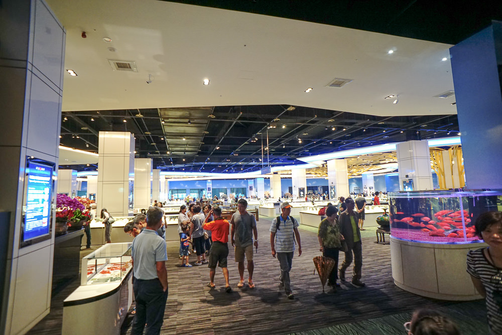 台湾绮丽粉珊瑚,台湾绮丽珊瑚工业