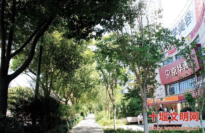 十堰人的颜值为什么那么高,十堰市风景美的区域