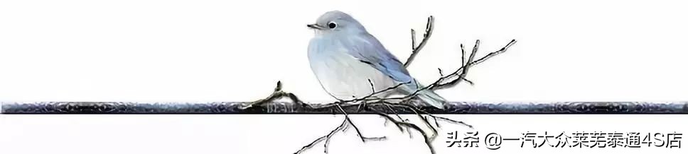 「莱芜泰通」探歌领衔,成就一汽-大众“SUV元年