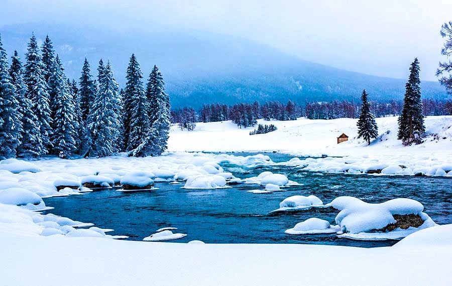 冬季的庭院景观,美丽如画的自然景观让人心旷神怡