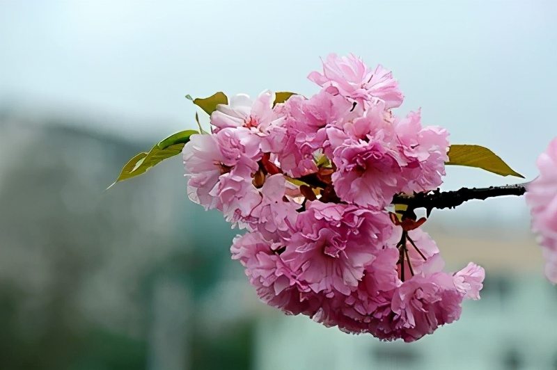 男人叫你老婆你怎么称呼才有趣,男人叫你老婆怎么高情商