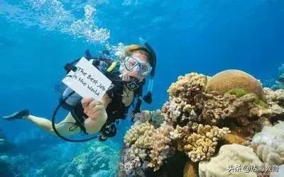 都有什么神仙工作,盘点令人羡慕的神仙工作