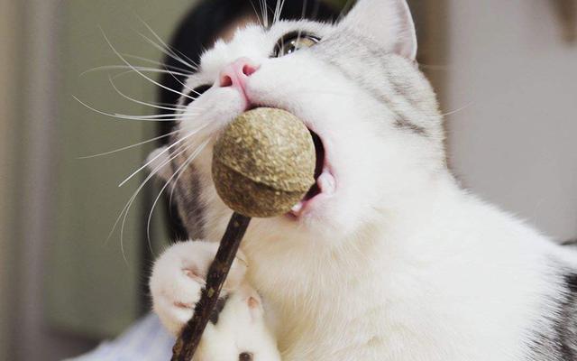 10条有意思冷知识,100个绝对颠覆你认知的身体冷知识