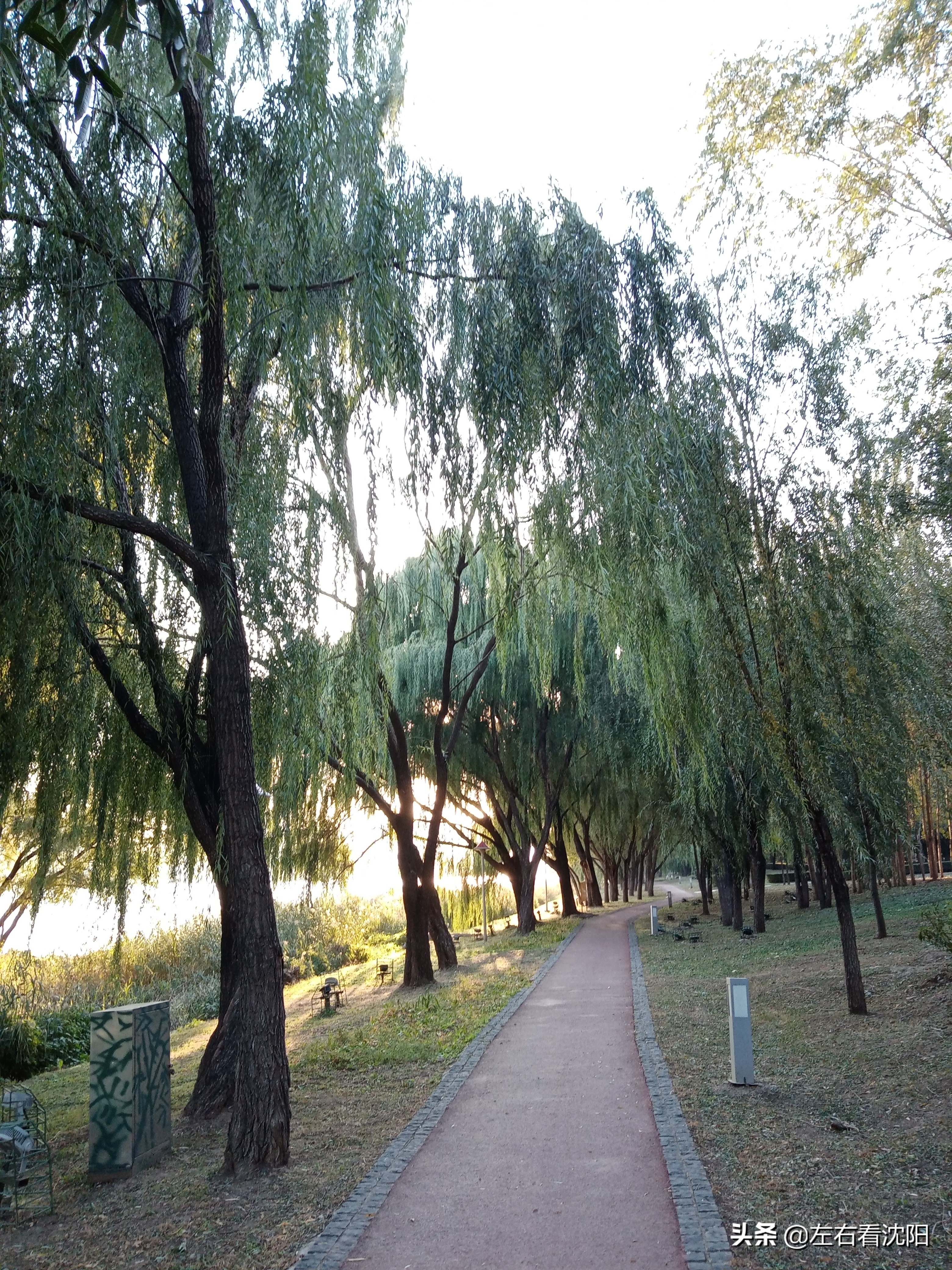 沈阳五里河公园攻略,沈阳五里河公园现在开吗