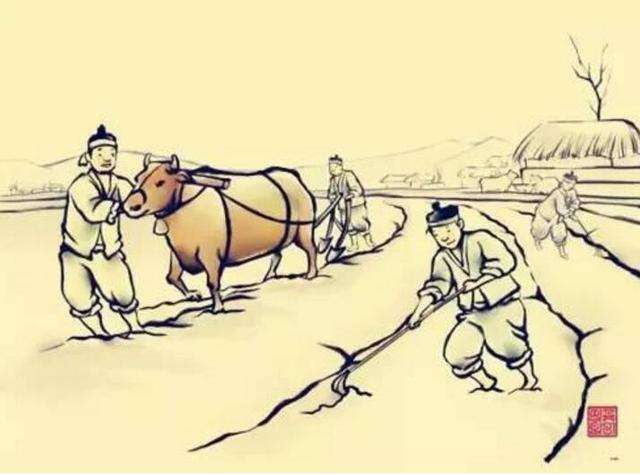 隋唐时期义仓,义仓的作用与功效