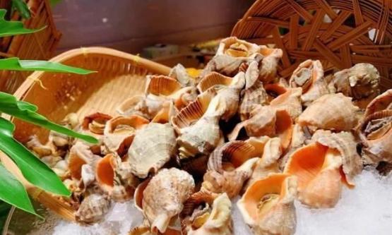 广州天河十大顶级自助餐,广州五星级酒店自助餐攻略