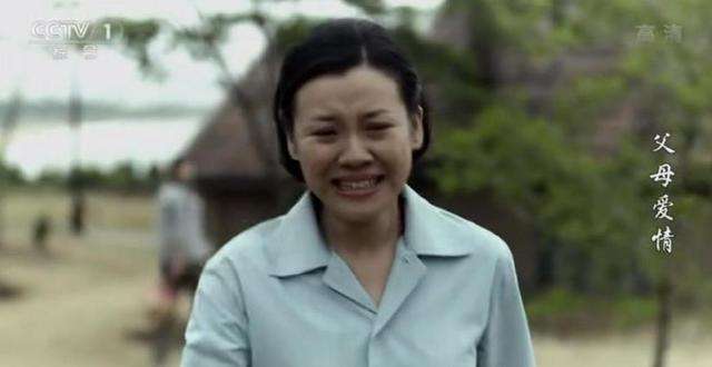 父母爱情为什么近期又火了,父母爱情电视剧全集豆瓣