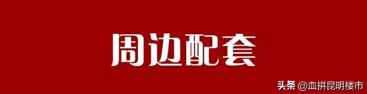 二层小洋楼自建房小户型,低首付低总价买三室两卫小洋楼