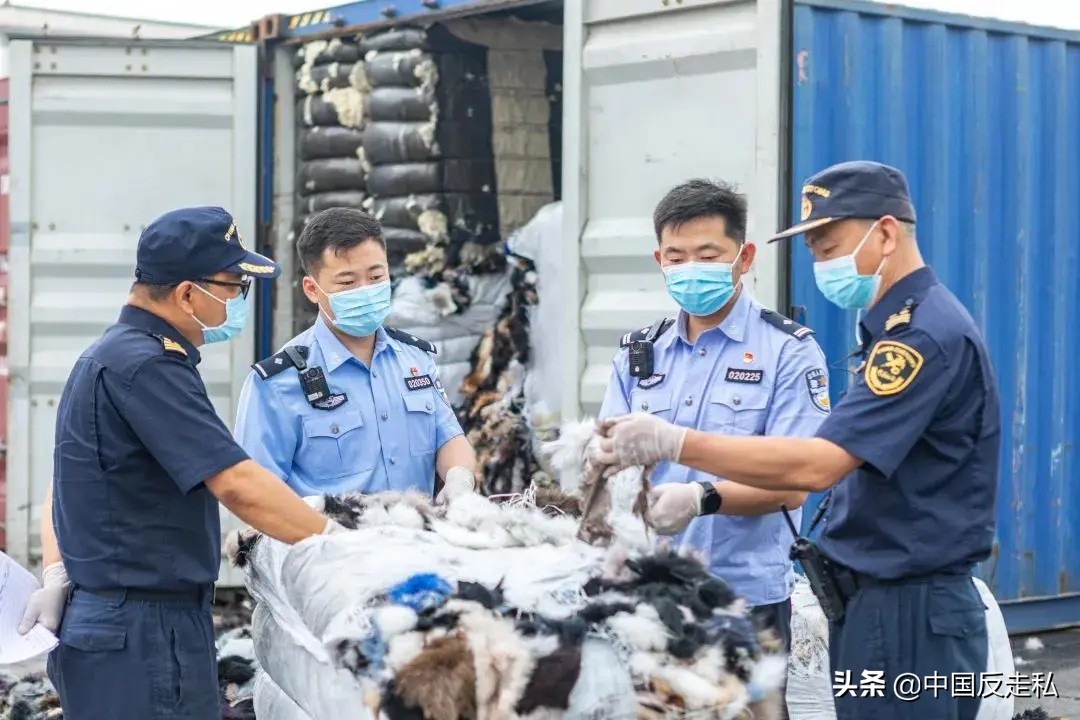 国门利剑2018全集,国门利剑2019十大案件