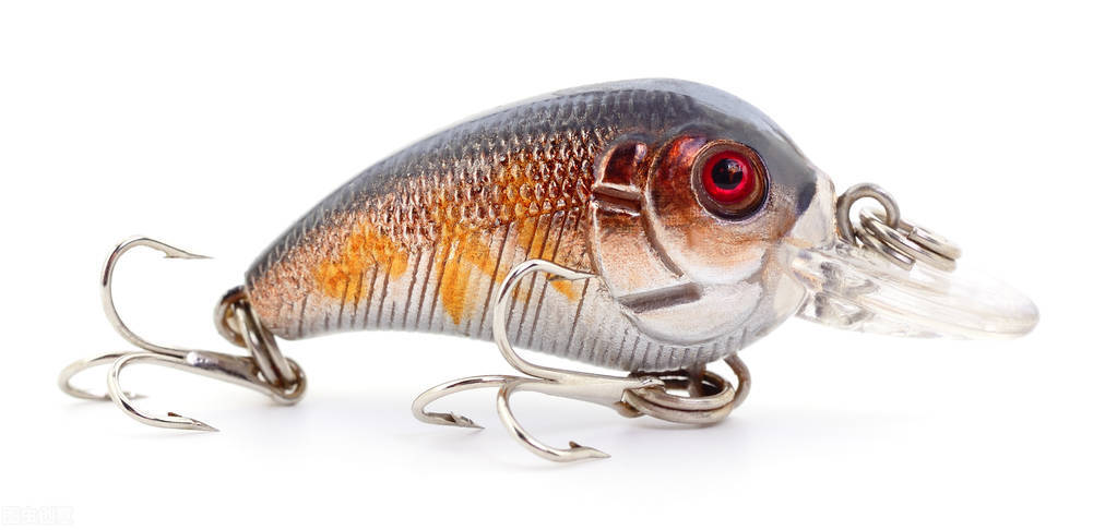 路亚钓鱼新手选什么饵,路亚新手入门如何选饵