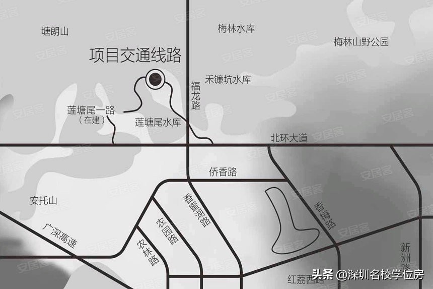 一句话点评深圳公办中学,深圳较好的公办中学