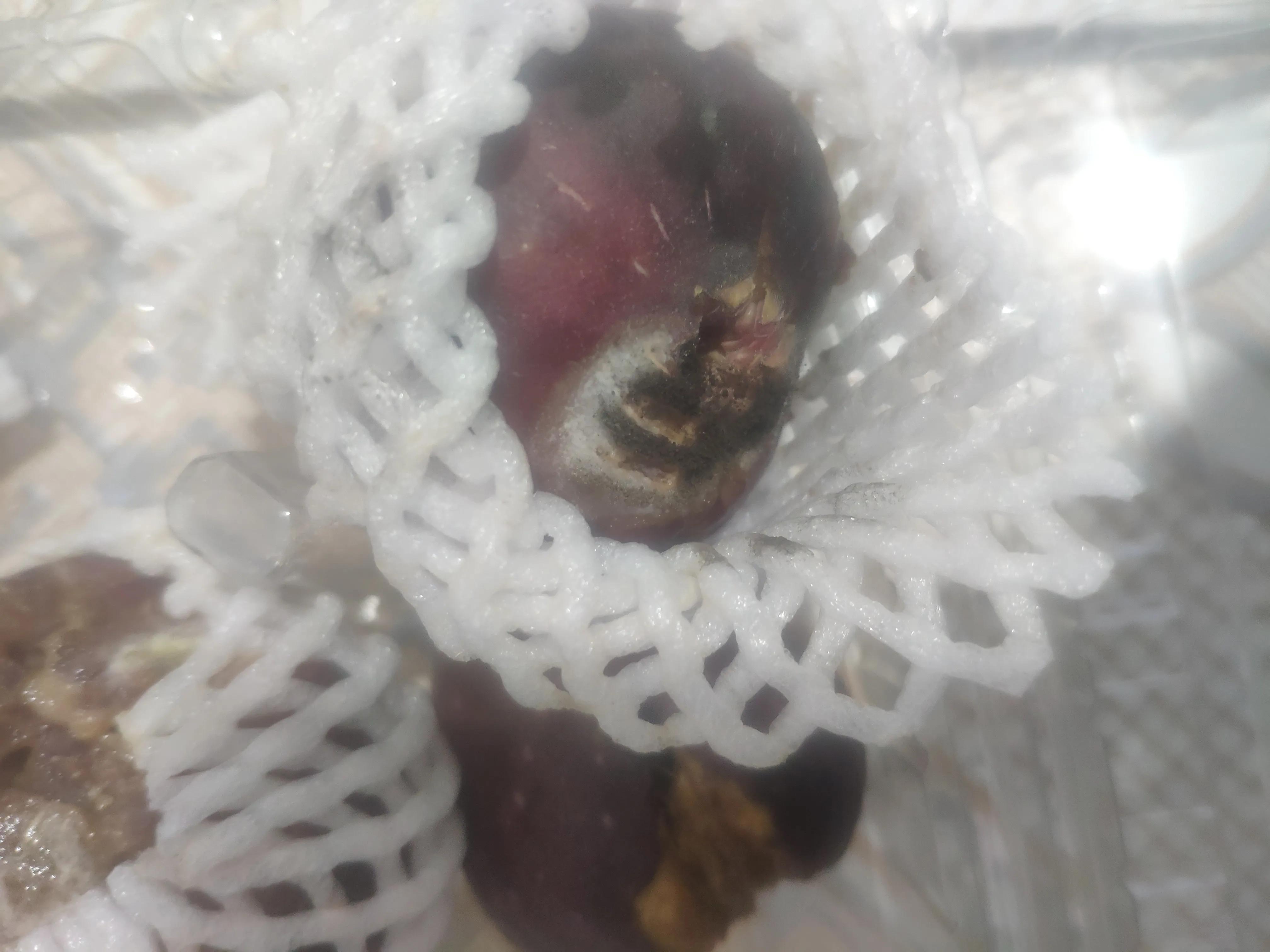 网购不踩坑的水果,网购水果真的有效果吗