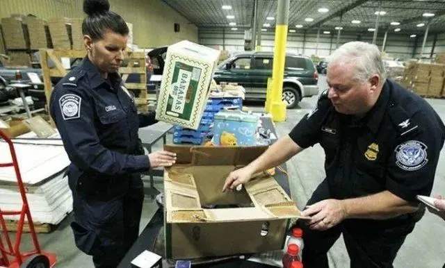 为什么出口会被海关扣货,外贸出口货物被国内海关扣货