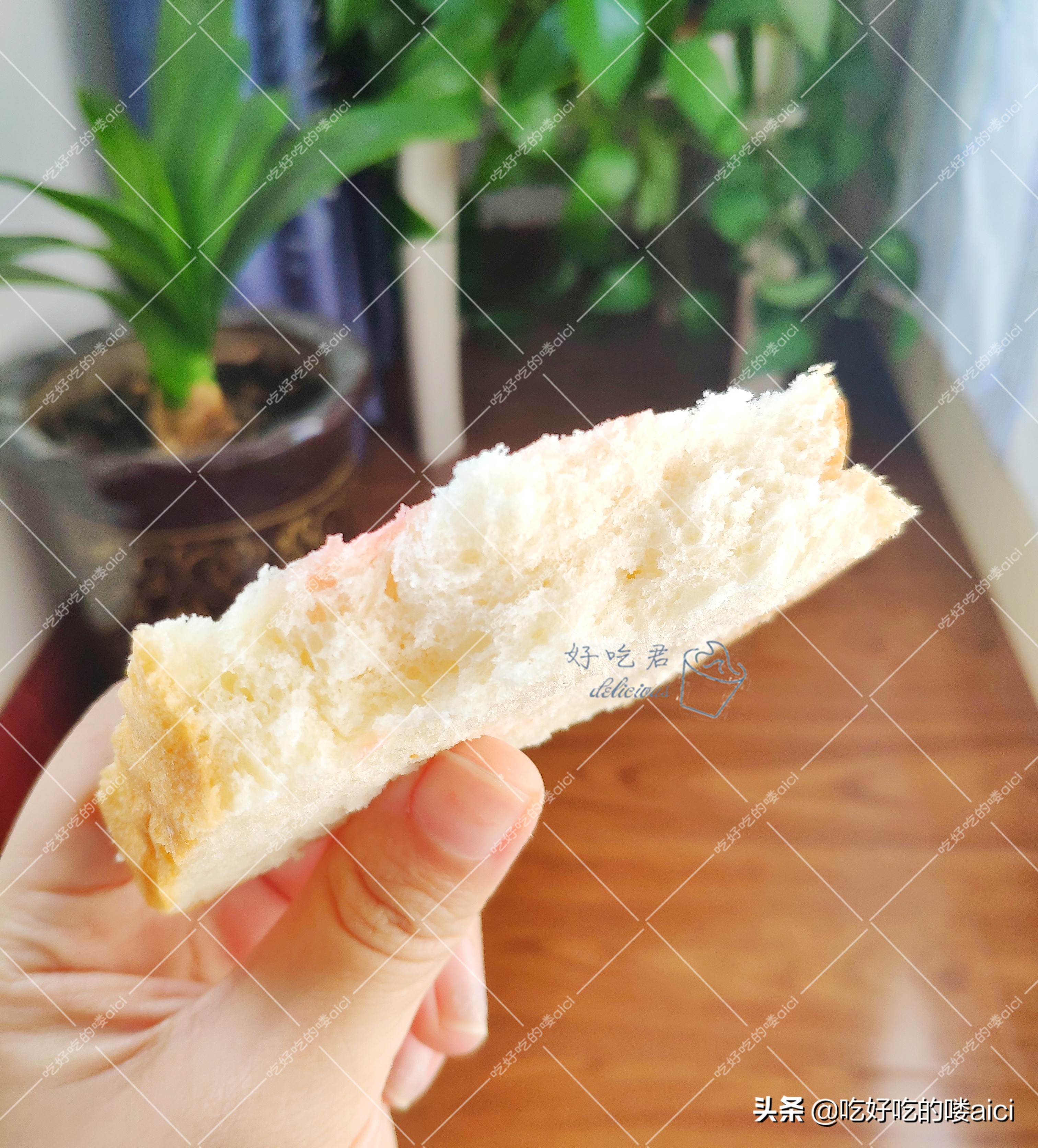 烘焙界扛把子,烘焙界的网红