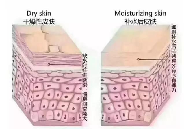 澳洲爆火的神奇爆奶霜,秋冬季有它就够了,一搓爆奶