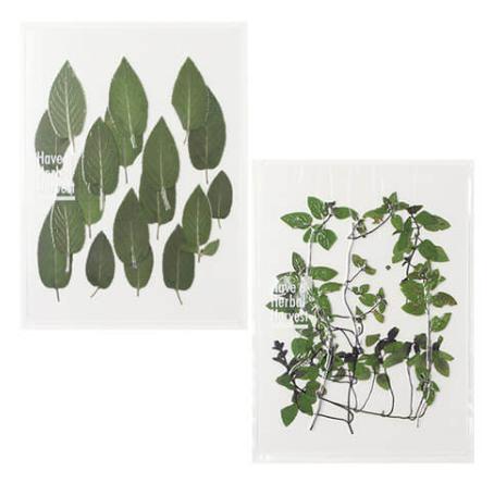 啊每一款都想入手,还不贵