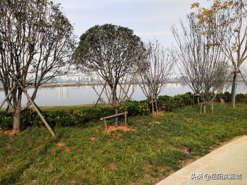 岳阳市东风湖恒大御景湾,岳阳东风湖恒大御景湾风景