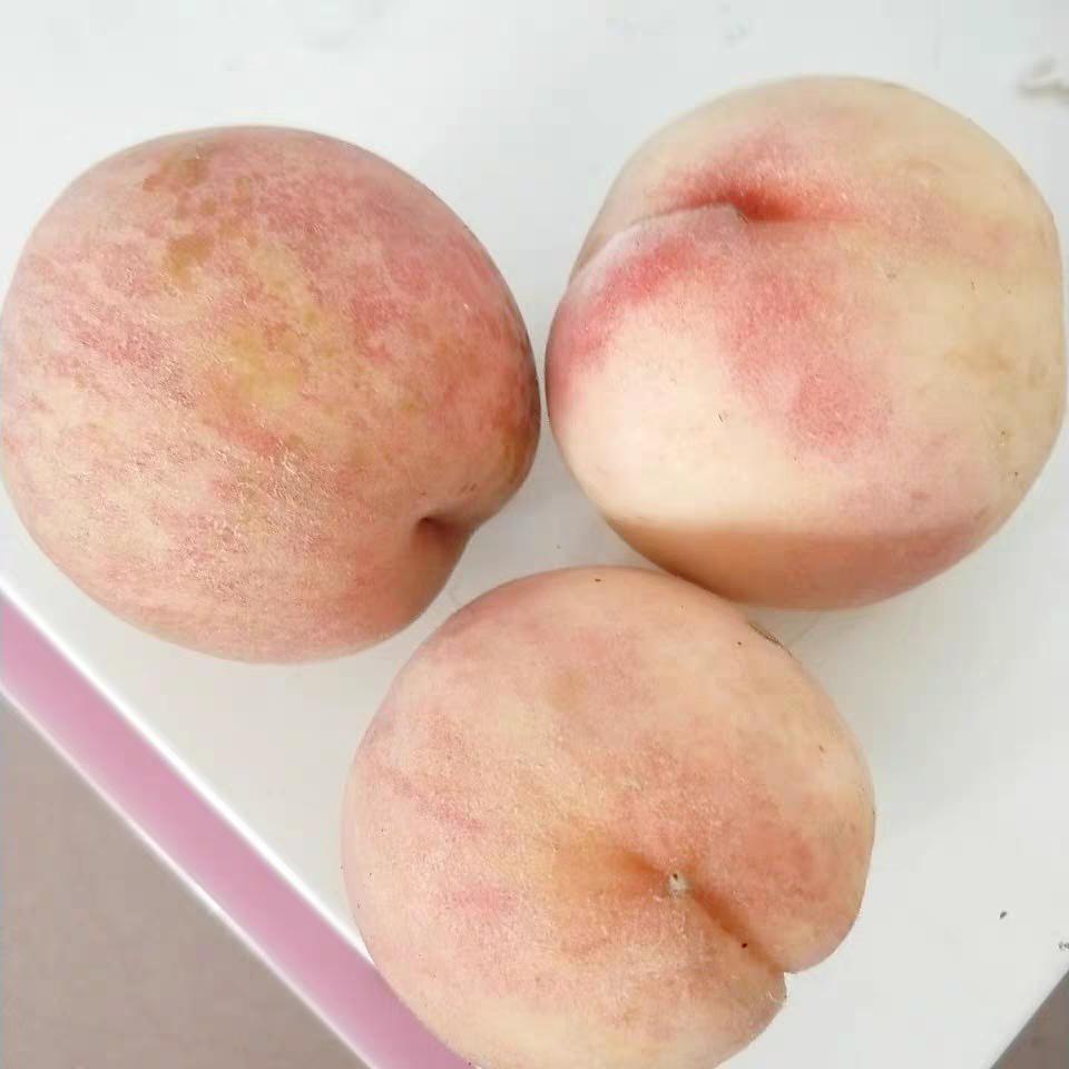 降血压最快的3种水果头条搜索,哪三种水果降血压最高