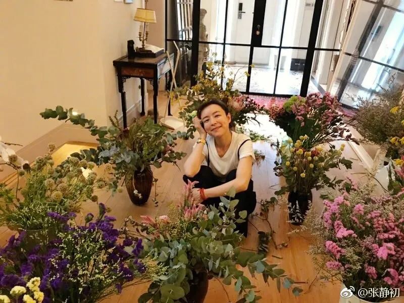 消失6年后,张静初单身生活首曝光!独居大House,与满屋破烂作伴