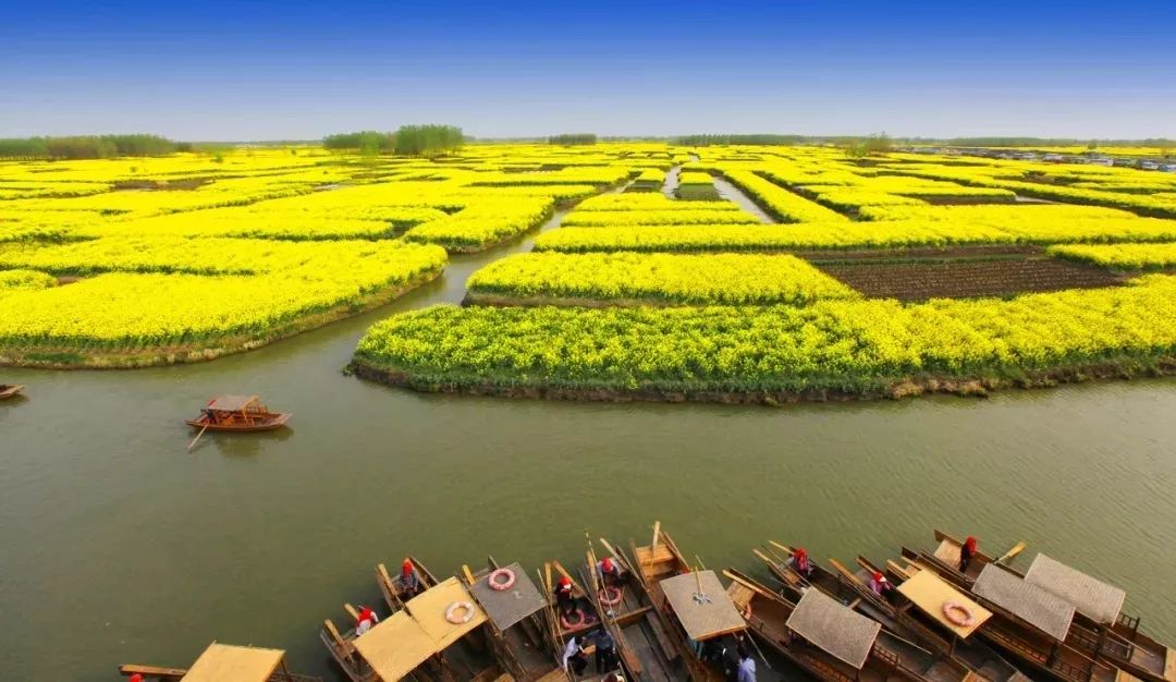 在最美的季节去了呼伦贝尔,一次浪漫的旅行呼伦贝尔