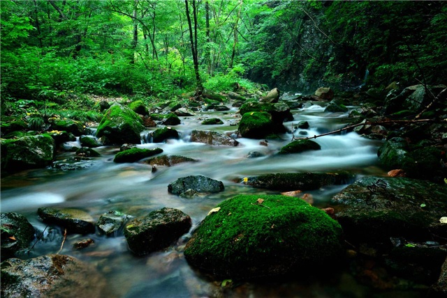 贺测亮随笔：三品话人生诵读：紫竹