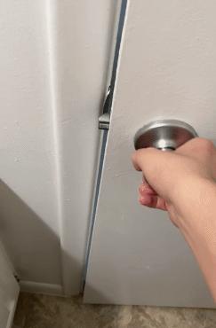 橘猫被抓警察局,肥猫被警察带走判刑