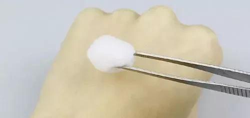 猫咪伸爪子误伤要惩罚吗,猫咪伸爪子抓我衣服是怎么回事