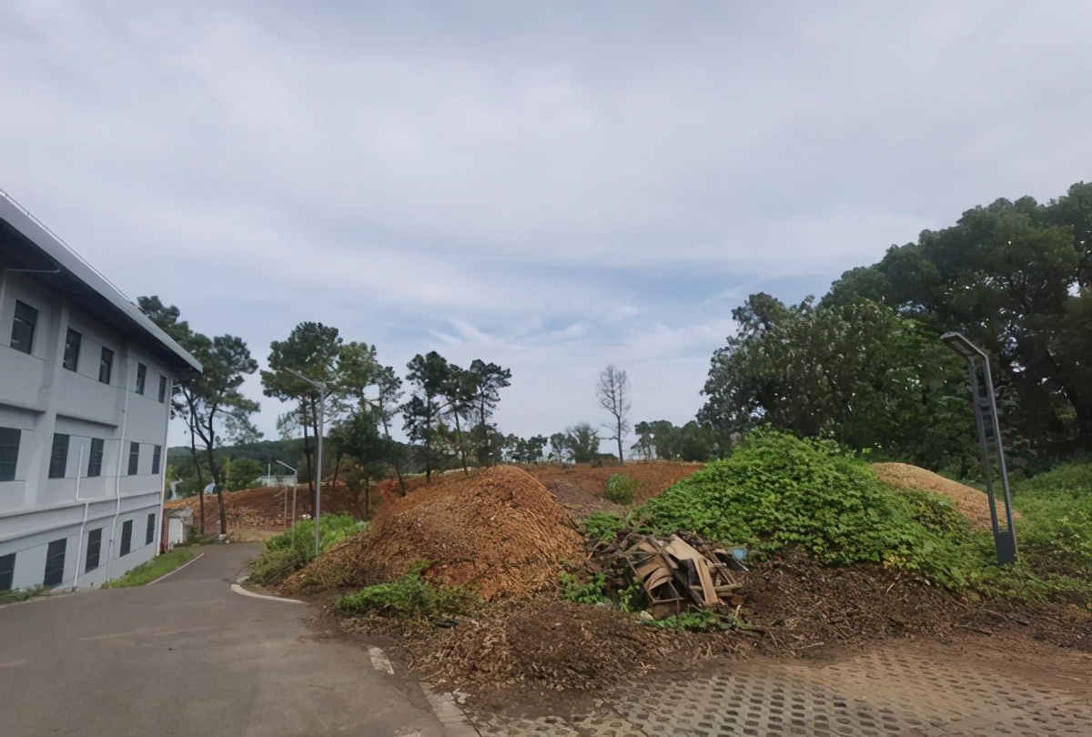 湖北高校风景,湖北风景最美的大学