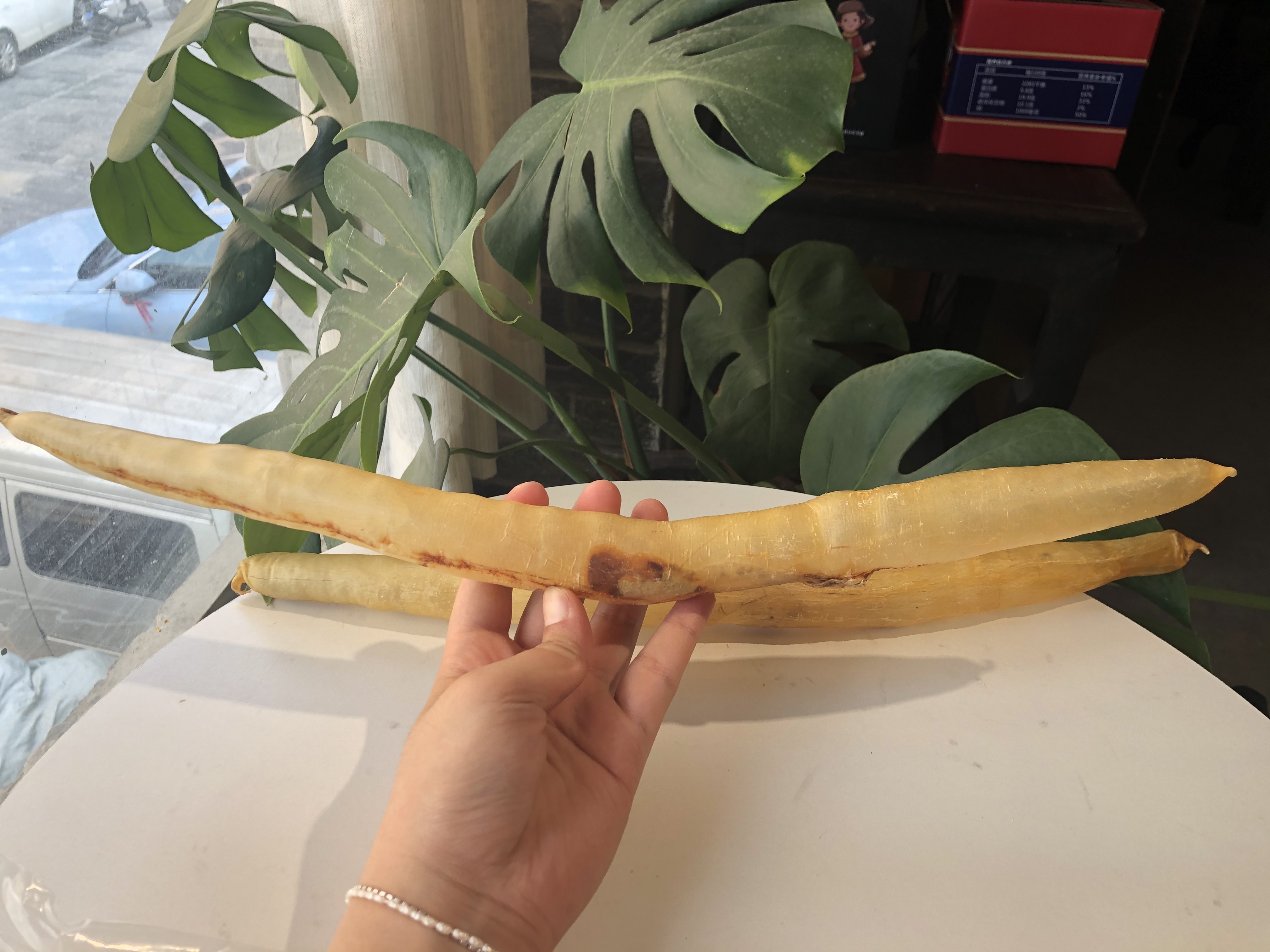 家庭食用哪种黄花胶比较好,官栈轻食花胶和即食花胶区别