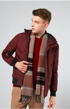 金利来2022年冬装新款鹅绒服,金利来羽绒服反季清仓品牌正品