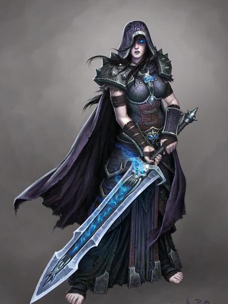 魔兽世界80版本圣骑士有哪些种族,魔兽世界60级pvp黄金圣斗士