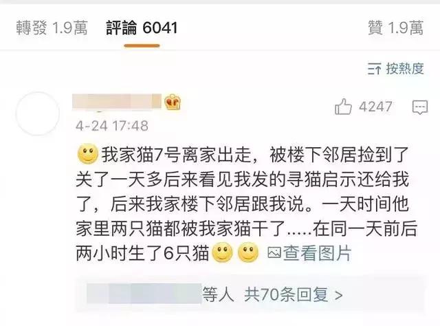 橘猫的7大优点养过的人都说好,自从养了猫才知道什么是爱