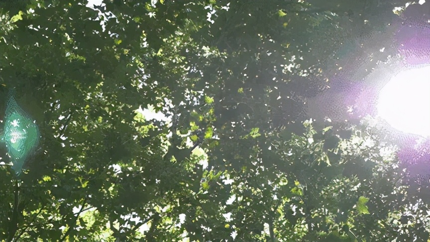 睡不着闭目养神能起到睡眠效果吗,怎么也睡不够什么原因