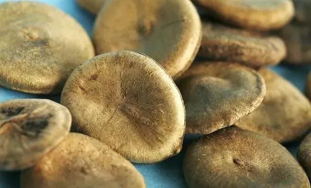 是药三分毒是否正确,中药泡酒的危害