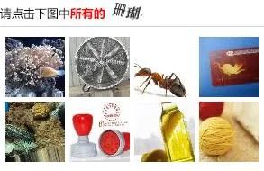 史上最详细python爬虫入门教程,从零开始学python爬虫技术