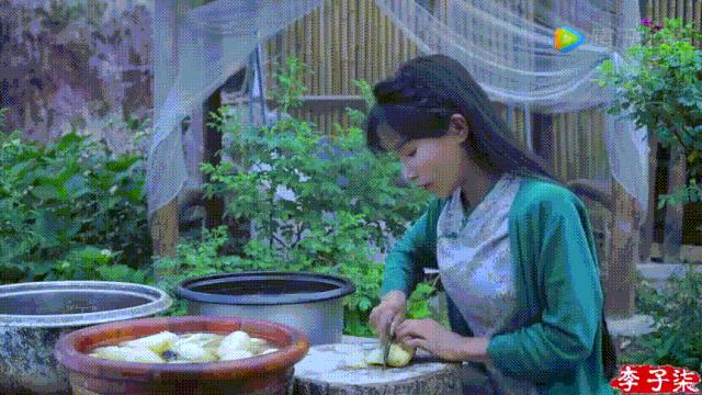 李子柒视频转场技巧,李子柒拍摄视频技巧