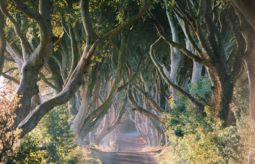 爱尔兰签证所需材料有哪些,爱尔兰签证需要准备哪些材料